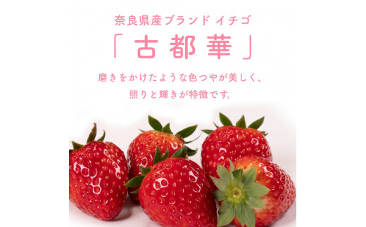 （冷蔵）【４月発送分】イチゴ 奈良県産高級ブランド品種「古都華」デラックス（270g×２パック） ／ 上田農園 苺 いちご フルーツ 奈良県 田原本町