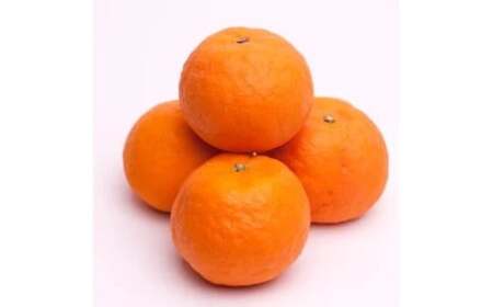 カラマンダリン 10kg+250g（痛み補償分） 厳選 / カラ カラオレンジ カラみかん 南津海 なつみ 高級 和歌山 有田 柑橘 晩柑 ※4月上旬～5月順次発送 ※北海道・沖縄・離島への配送不可 