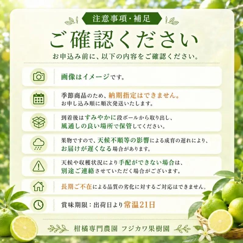 【2026年 先行予約】みどり認定 ハウス栽培グリーンレモン 約2.3kg 国産レモン 香川 果物類／柑橘類／みかん レモン　 