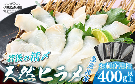 【先行予約】若狭の活〆天然ヒラメ 400g以上 お刺身用柵【2026年3月上旬以降順次発送予定】【 国産 天然 ヒラメ ひらめ 】[m36-b014]