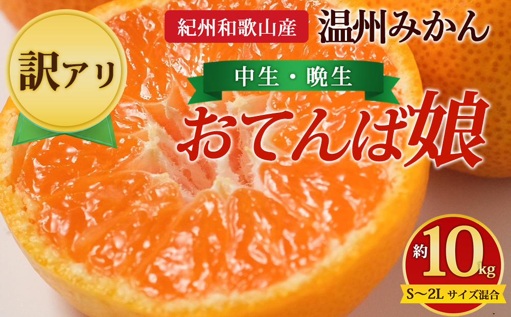 【先行予約】【訳あり】紀州和歌山産 温州みかん「おてんば娘」約10kg（箱込み）S～2L サイズ混合（中生・晩生）
