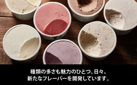 ジェラート国際大会優勝店「Rimo」おすすめ8個セット ABA004