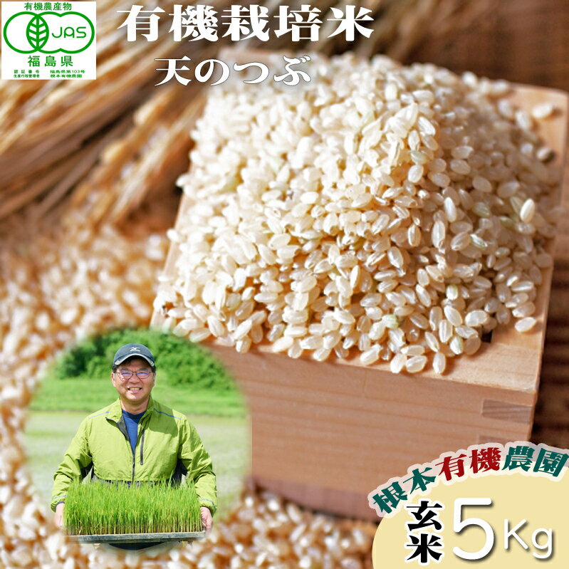 【ふるさと納税】【令和6年産】 南相馬 天のつぶ 5kg 5キロ JAS 有機米 根本有機農園 天のつぶ 玄米 精米 コメ ブランド米 福島 福島県産 低温貯蔵庫 送料無料 たんぱく質 旨い ふるさと納税 オンライン申請【3004601】