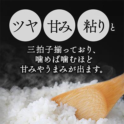 ふるさと納税 稲敷市 【令和7年産】稲敷産こしひかり10kg(5kg×2袋) |  | 01