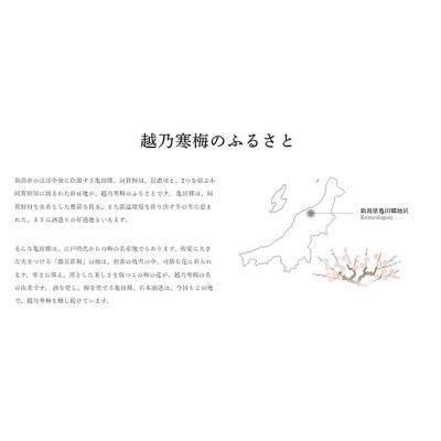 ふるさと納税 新潟市 越乃寒梅　新1800ml [54071166] |  | 03
