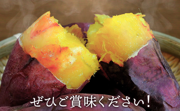 さつまいも 紅はるか 約5kg(9-38個) 株式会社GGYパッケージ《2025年11月下旬-2026年4月上旬頃出荷》熊本県 菊池市 さつまいも 紅はるか 芋 いも 野菜 国産 焼き芋 スイートポテ