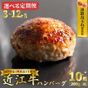 【ふるさと納税】 選べる 定期便 近江牛 ハンバーグ 淡路島 玉ねぎ入り 200g x 10個 2kg ( 3ヶ月 ／ 6ヶ月 ／ 12ヶ月 ) 個包装 肉汁 たっぷり 合挽き ジューシー 冷凍 ギフト 黒毛和牛 おかず キャンプ アウトドア 好評 神戸牛 松阪牛 に並ぶ 日本三大和牛 滋賀県 竜王町