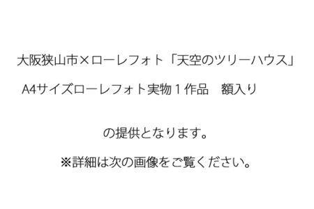 No.182 6－RA4 大阪狭山市×ローレフォト 天空のツリーハウス