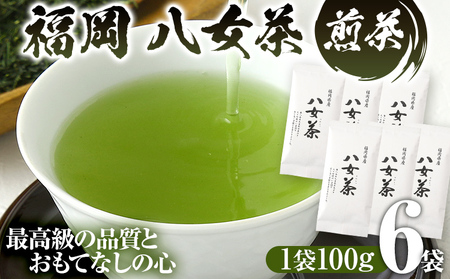 福岡 八女茶 煎茶 600g（100g×6袋） お茶 緑茶 原野製茶 奥八女 八女 茶葉 福岡県 福岡 九州 グルメ お取り寄せ