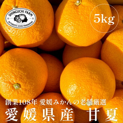 【ふるさと納税】創業百八年 愛媛みかんの老舗【甘夏5kg】家庭用【新口農園】【C70-26】_ みかん ミカン 柑橘 フルーツ 果物 くだもの 青果 甘夏 あまなつ 産地直送 産直 愛媛 甘い ジューシー 常温 家庭用 希少 名産地 木成り 完熟 【1470662】
