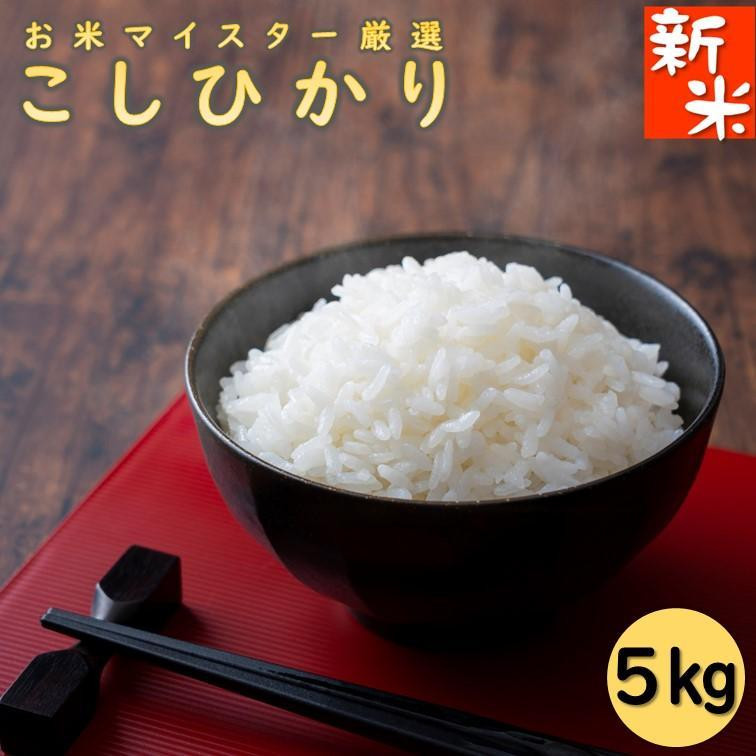 
            新米 令和6年産 千葉県産コシヒカリ5kg
          