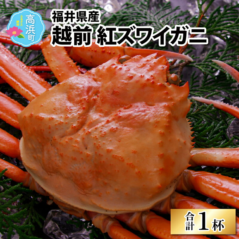 【ふるさと納税】【先行予約】【数量限定】福井県産 越前紅ズワイガニ × 1杯｜かに 蟹 ズワイガニ ズワイ蟹 紅ズワイ蟹 ゆで蟹 カニしゃぶ かにポーション ボイル 冷凍 国産 ブランド 高級 豪華 贅沢 旬 年末年始 冬季限定 送料無料 [A-018007]