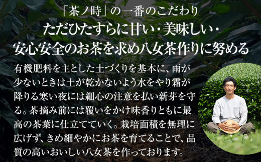 【八女茶】原田茶園 極上煎茶ティーバッグ 麗至 64g 2袋（4g×8）×2 八女 極上 煎茶 福岡 ティーバッグ お茶