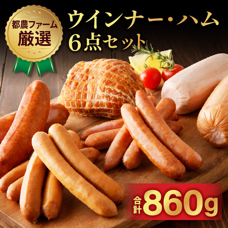 都農ファーム厳選「ウインナー・ハム6点セット」合計860g_T020-001【肉 豚 豚肉 おかず 国産 人気 ギフト 食品 お肉 加工品 惣菜 お土産 贈り物 送料無料 プレゼント】