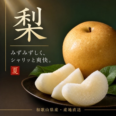 【発送月固定定期便】紀州和歌山産旬のフルーツセット(スイカ・桃・梨)全3回【配送不可地域：離島・北海道・沖縄県】