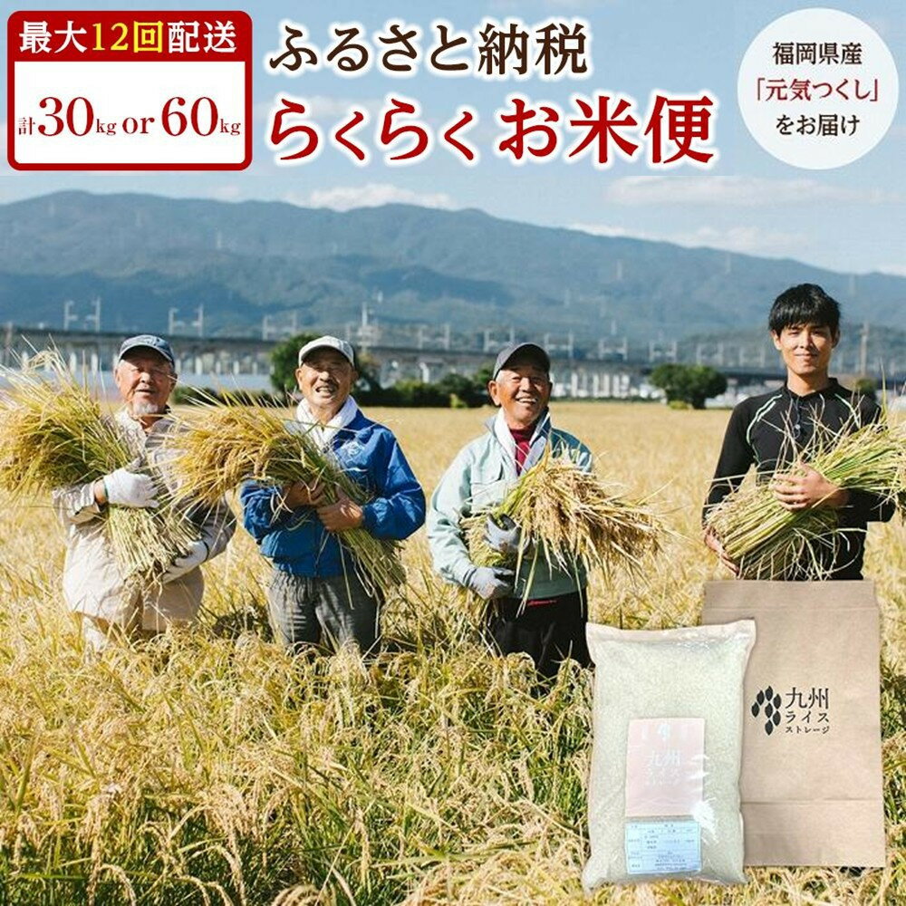 【ふるさと納税】【特A評価獲得！福岡県産元気つくし　らくらくお米便】 福岡県産 元気つくし 米 定期便 30kgコース( 5kg × 6か月 ) or 60kgコース ( 5kg × 12か月 ) 玄米 分づき米 白米 お米 人気 おすすめ ご飯 ごはん
