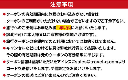 五島市への旅行で使える トラベルQ旅行券 3,000円分 島 旅 クーポン 交通 宿泊 体験 九州 長崎 五島市/アイラオリエンタルリンク [PEA001]