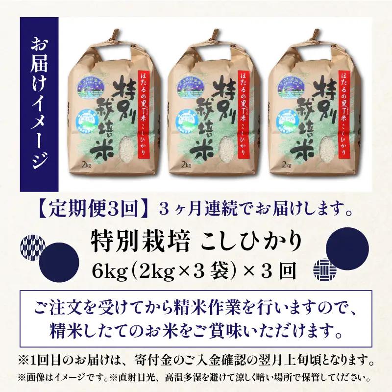 【新米予約受付中】令和8年産 特別栽培こしひかり 6kg 3回定期便 新米【F-002001】