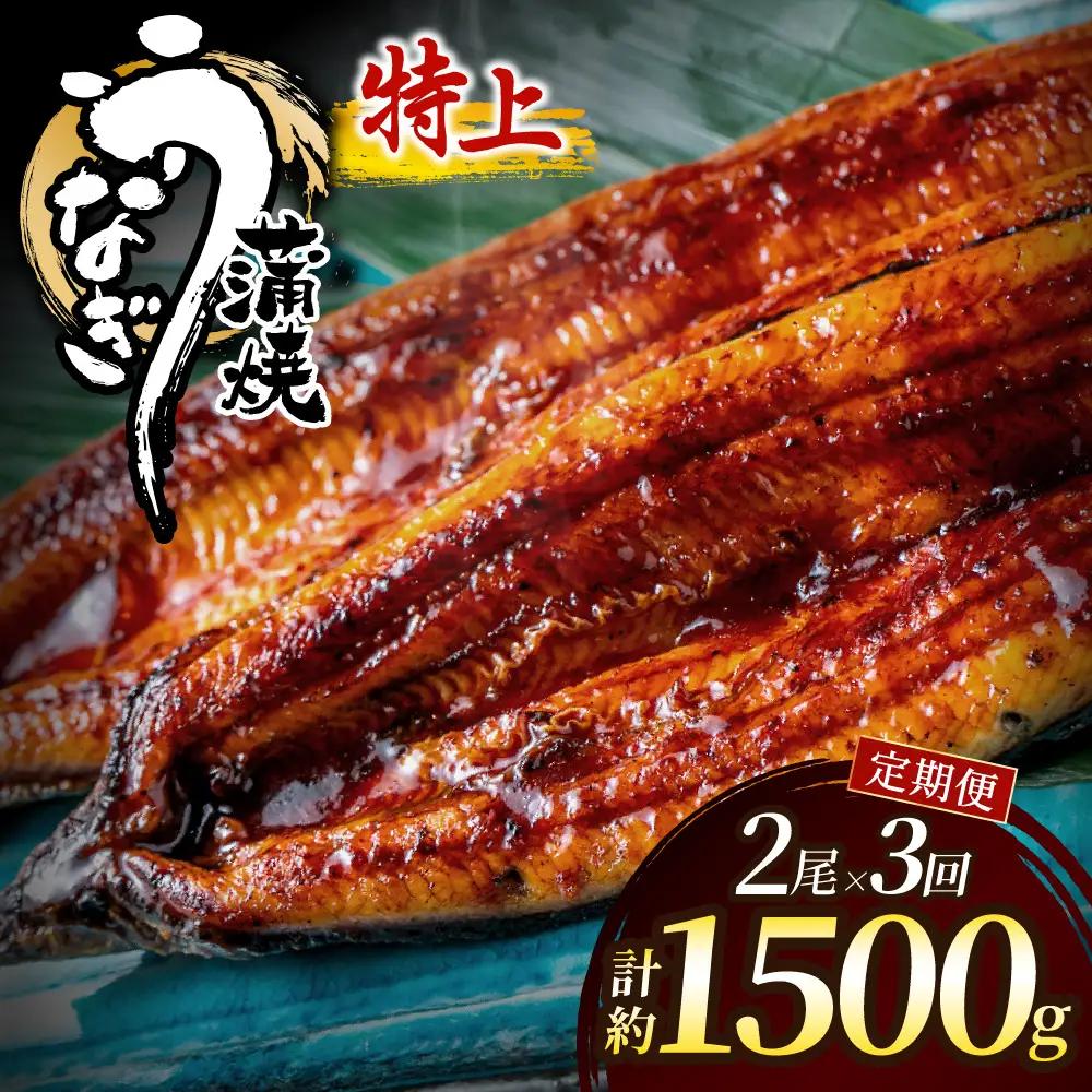 【3回定期便】うなぎ蒲焼き500g以上(250g以上×2尾)【魚住商店】_HB0223 うなぎ 鰻 蒲焼 真空パック 福岡県宗像市 宗像市 福岡 宗像