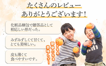 【先行予約】＜数量限定＞せとか3kg（8～15玉）化粧箱付き_K001-018