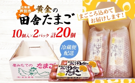 黄金の田舎たまご 20個入り 10個×2 化粧箱 北海道