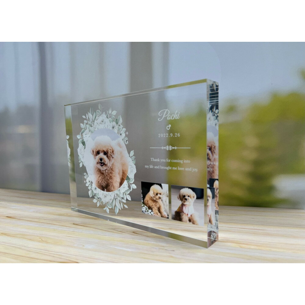 【ふるさと納税】思い出の写真をアクリル素材に！アクリルスタンド | 雑貨 日用品 人気 おすすめ 送料無料