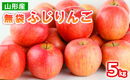山形産 無袋 ふじりんご 秀5kg(13～20玉) FY25-012
