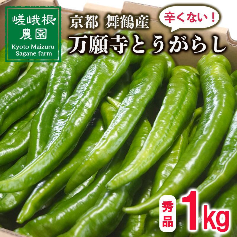 【ふるさと納税】 【5月中旬〜11月下旬発送】 万願寺 とうがらし 1kg 秀品 辛くない 美味しい おいしい 肉厚 甘い 旬 採れたて 箱入り 伝統野菜 バーベキュー BBQ 野菜 夏野菜 農家 産地 直送 万願寺とうがらし 唐辛子 規格外 京都 舞鶴