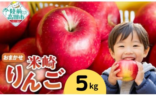米崎 りんご 5kg 　≪品種おまかせ≫【 数量限定 リンゴ 林檎 りんご 9月 10月 11月 12月 青林 王林 ジョナゴールド シナノスイート 等  岩手 陸前高田 産地直送 新鮮 アップル 家庭用 】 RT434