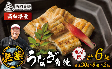 【 鰻白焼 】 国産 うなぎ白焼 定期便 計6尾 ( 120g × 3尾 × 2回 )