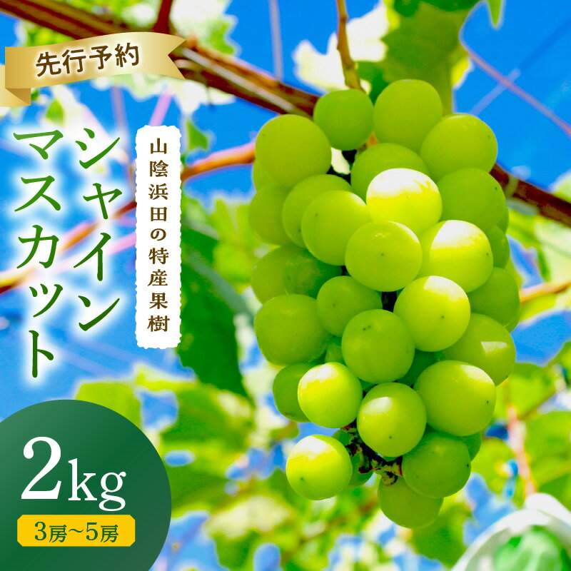 【ふるさと納税】【2025年産】山陰浜田の特産果樹「シャインマスカット」2kg＜8月下旬より発送＞ 果物 フルーツ ぶどう ブドウ 葡萄 シャインマスカット マスカット 人気 先行予約 期間限定 クール クール便 2キロ 【010_1946】