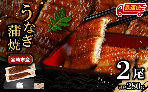 【最速便】宮崎県宮崎市産 うなぎの蒲焼 約280g(約140g×2尾) タレ・山椒セット_M325-002-2W