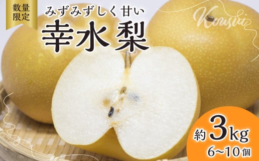 梨【2025年先行予約 数量限定】幸水 約3kg 6玉～10玉 | 先行予約 数量限定 梨 フルーツ 高級 産地直送 限定品 贈り物 新鮮 お取り寄せ デザート ギフト 風味豊か 香り 上品 希少価値 珍しい 地域 甘い 限定 果物 果樹 幸水 梨 なし 果物 フルーツ 和梨 旬 日本の梨 ジューシー みずみずしい 高糖度 季節のフルーツ 埼玉県 久喜市