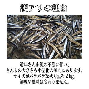 【期間限定】訳あり 鮮さんま 約2kg 冷蔵 20尾～25尾 秋刀魚 サンマ 生サンマ 