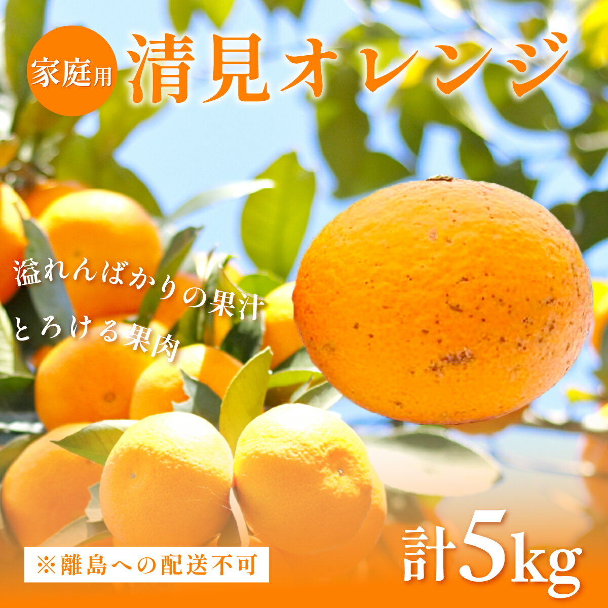 【ふるさと納税】【家庭用】清見オレンジ計5kg ※離島への配送不可（2026年3月上旬頃より順次発送予定） 【 ふるさと納税 人気 おすすめ ランキング みかん 柑橘 ミカン 蜜柑 mikan 果物 フルーツ オレンジ 早生 愛媛県 伊方町 送料無料 】 IKTAC007