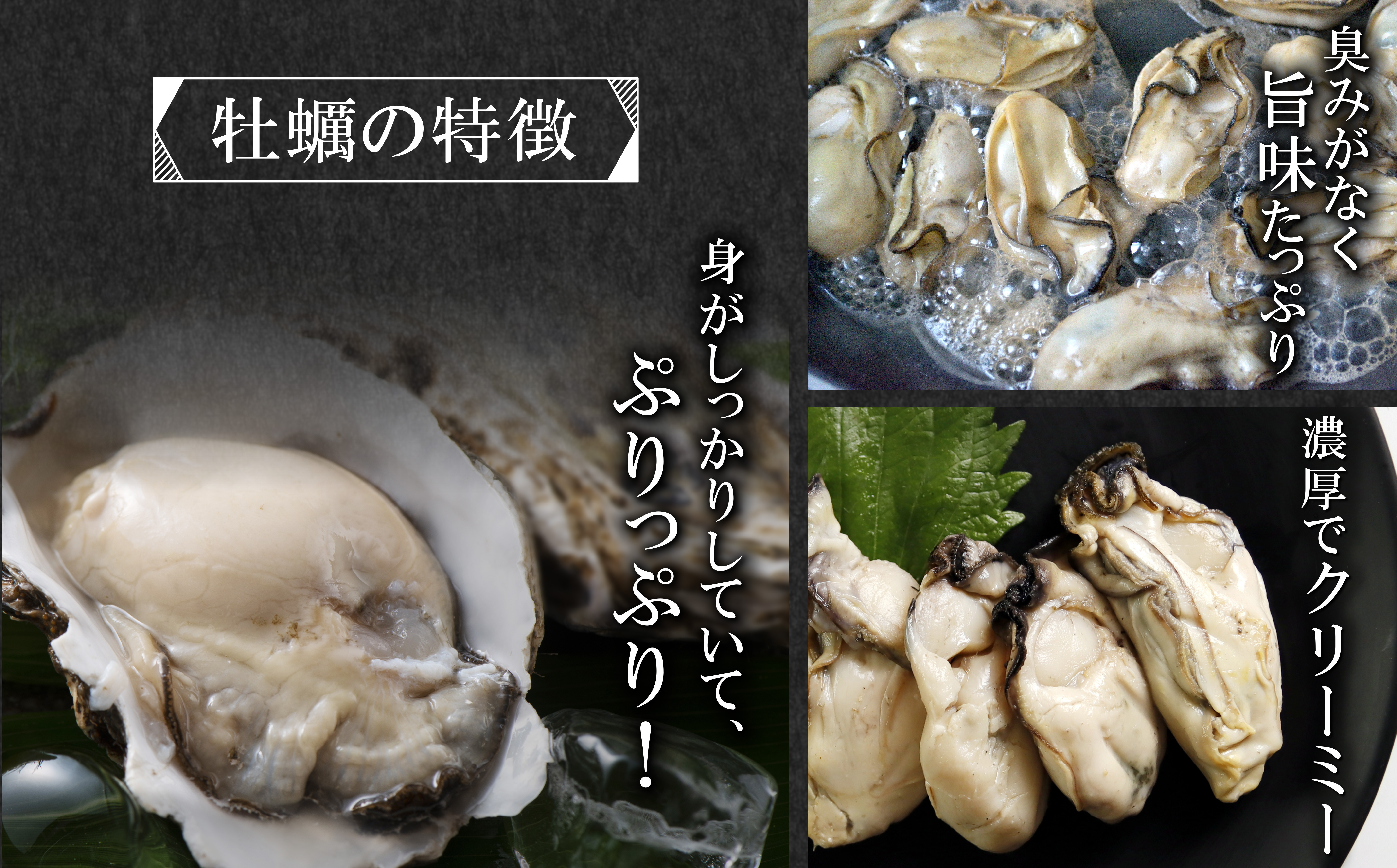 三陸の美味しさが、口いっぱいに広がること間違いなし！