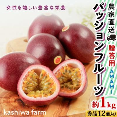 ふるさと納税 奄美市 【2026年先行予約】【農家直送】奄美大島産 パッションフルーツ 贈答用 1kg(秀品12個入り)
