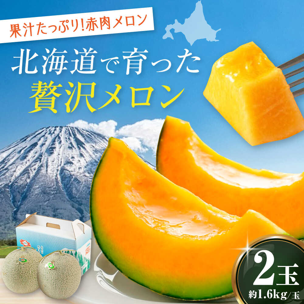 【ふるさと納税】【2025年8月以降順次発送】数量限定！北海道産 赤肉メロン 約1.6kg×2玉 《喜茂別町》【Aコープようてい】 先行予約 数量限定 メロン 赤肉 フルーツ 果物 産地直送 北海道 北海道産 [AJAK004] 13000 13000円