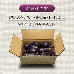 安田町産「超」訳あり ナス なす 1kg 10本以上 ナス 新鮮 なす 産地直送 ナス 規格外 なす TR-0001