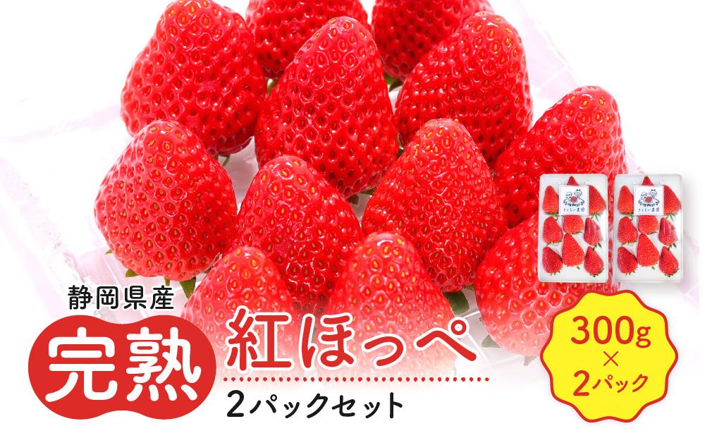 先行受付【静岡県産いちご】完熟紅ほっぺ2パックセット（300g×2パック）【2027年1月下旬～発送予定】 222232_CF001