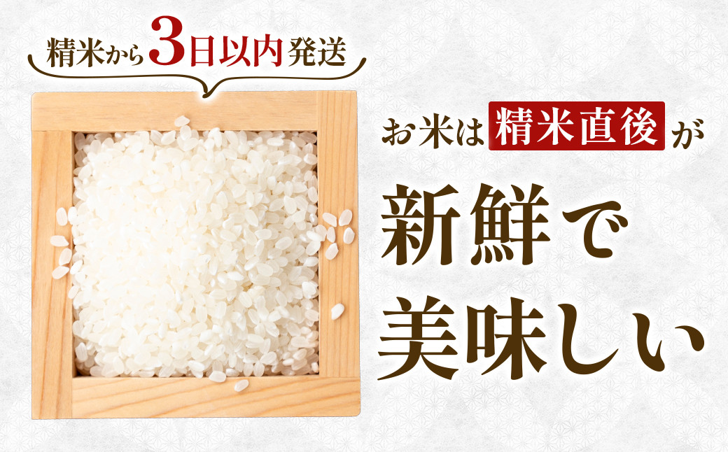【令和7年産】宮城県産ひとめぼれ【無洗米】　2kg×2袋