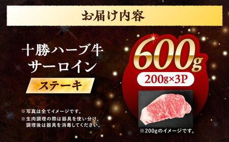 北海道 十勝 ハーブ牛  サーロインステーキ 600g （200g×3） 《足寄町》【株式会社ノベルズ食品】[BEAQ048]