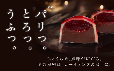 【2024年2月〜発送】ボンボンショコラ 5個入り / チョコ チョコレート お菓子 バレンタイン / 南島原市 / 本田屋かすてら本舗[SAW031]