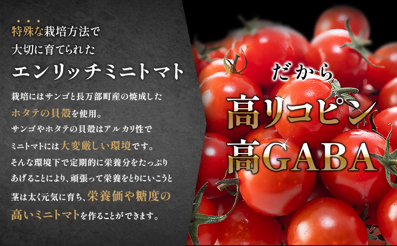 ジャムセット（エンリッチミニトマト1ｋgとジャム200g×1瓶のセット）【070017】
