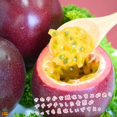 ふるさと納税 徳之島町 《今が旬!》太陽が育てた徳之島産パッションフルーツ(1kg) |  | 01