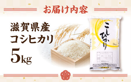 【令和7年産新米】コシヒカリ 5kg 白米 [AQDH001] こしひかり 白米
