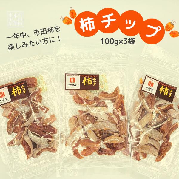 【ふるさと納税】市田柿 柿チップ（約100g×3袋）／通年発送　南信州　干し柿　市田柿