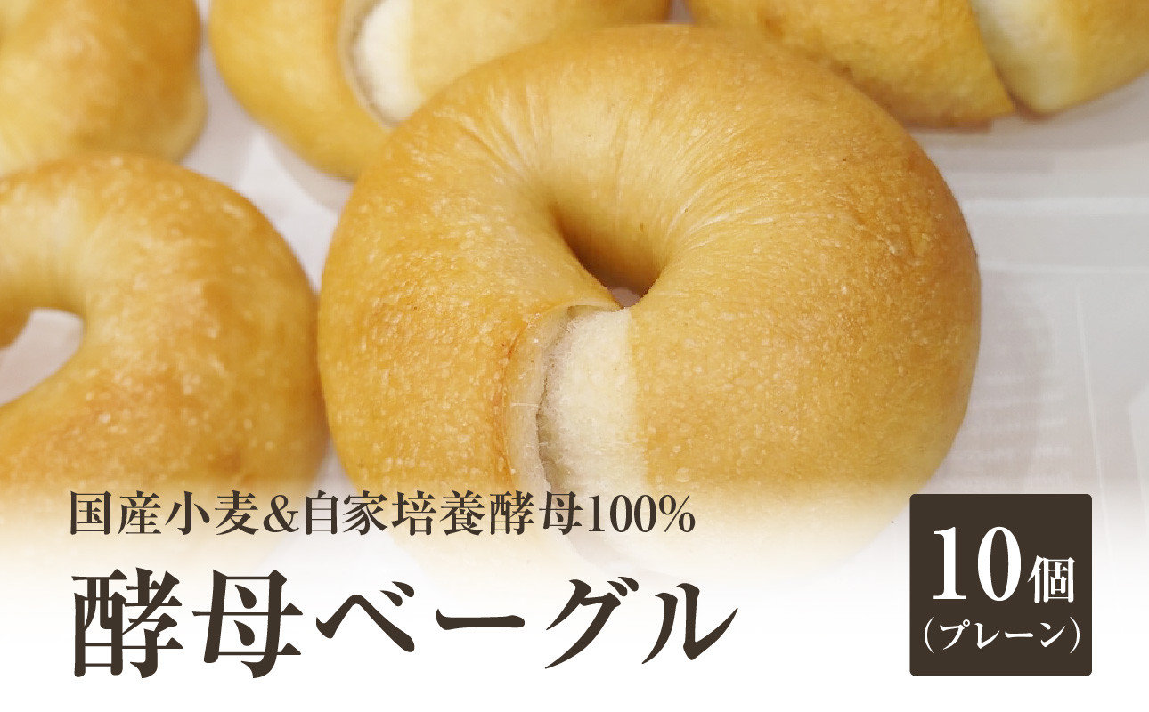 
国産小麦＆自家培養酵母100％　酵母ベーグル10個 ベーグルセット プレーン ベーグルパン パンベーグル もちもち ふわふわ 食べ応え 天然素材 おやつ 朝食 ベーグル 酵母 ベーグル 冷凍【065-09】
