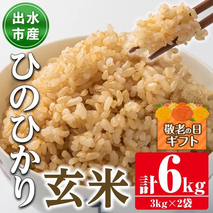 i504-k 【敬老の日ギフト】鹿児島県出水市産ひのひかり＜玄米＞(3kg×2袋・計6kg) 米 玄米 ヒノヒカリ 自家脱穀 自家精米 発送直前 精米 ごはん お米マイスター 厳選 ギフト プレゼント 贈答 敬老の日 【田上商店】