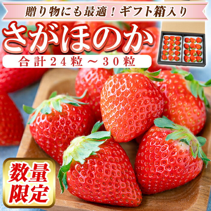 【ふるさと納税】＜先行予約受付中！2026年2月上旬～3月下旬に発送予定＞ いちご・さがほのか(合計24粒〜30粒)国産 鹿児島県産 苺 イチゴ フルーツ 果物 くだもの ギフト 贈答用【佳農園】